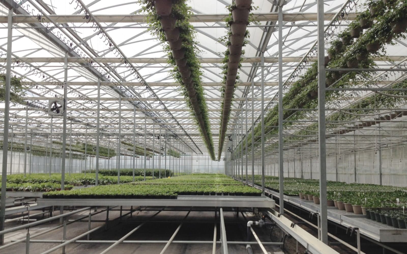 ベンチシステム